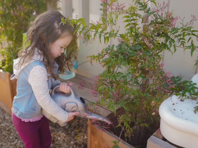 Little Seeds preschool program in Alameda CA